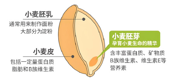 售后服務(wù)完善